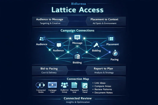 Diagram of Bidurexa Lattice Access system with network connections on a dark background